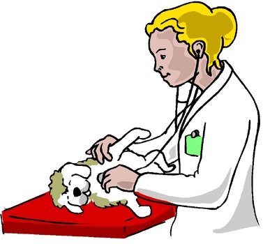 Veterinarians Pacific Animal Therapy Society