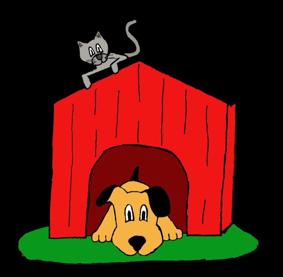 painted dog in a booth and a cat on the roof