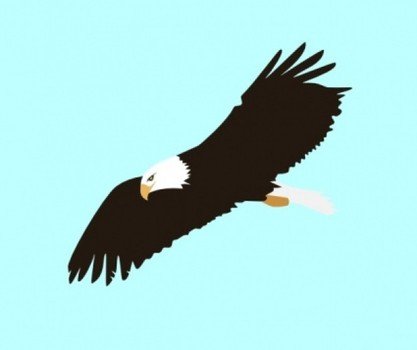 soaring eagle on the blue background