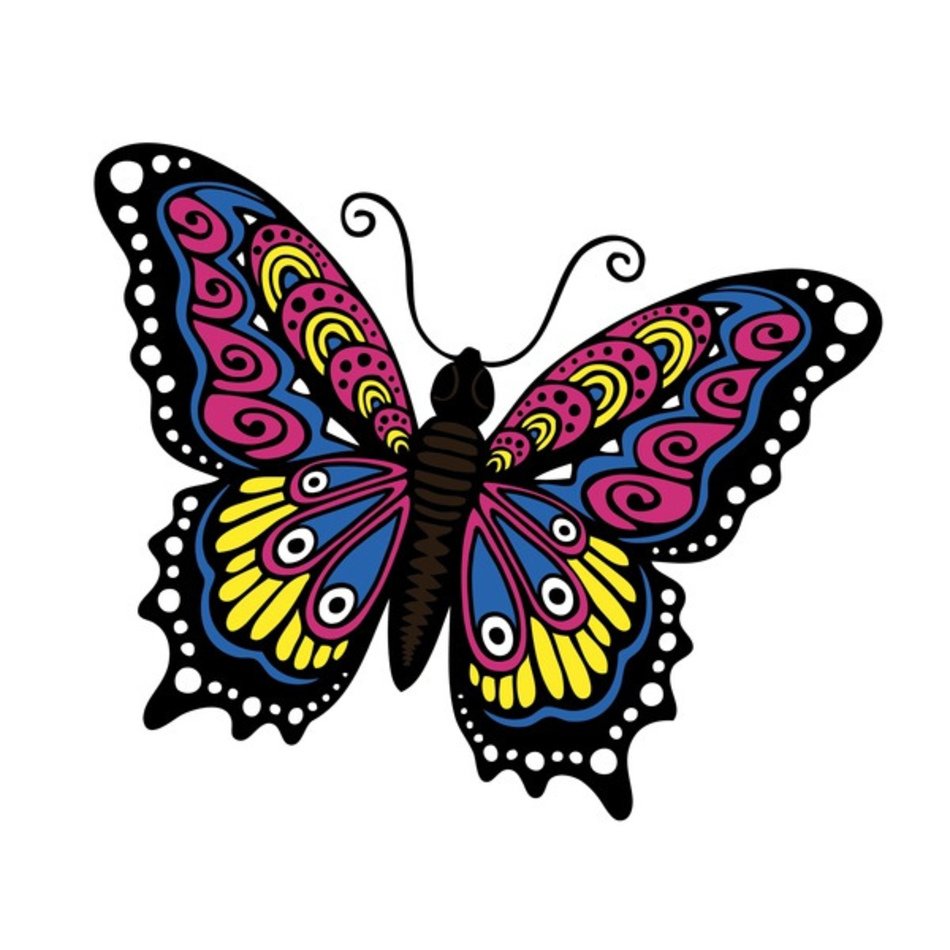 Psychedelic Butterfly Explore Dukepopes Photos On Flickr