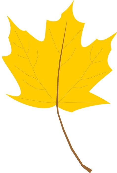 Yellow Leaves Panda drawing