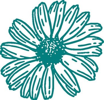 green Daisy drawing