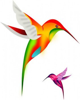 Colorful Humming Bird Birds Free Vector