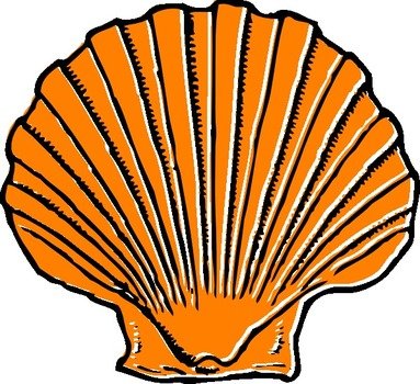 Orange Seashell At Clkercom Vector Online clipart