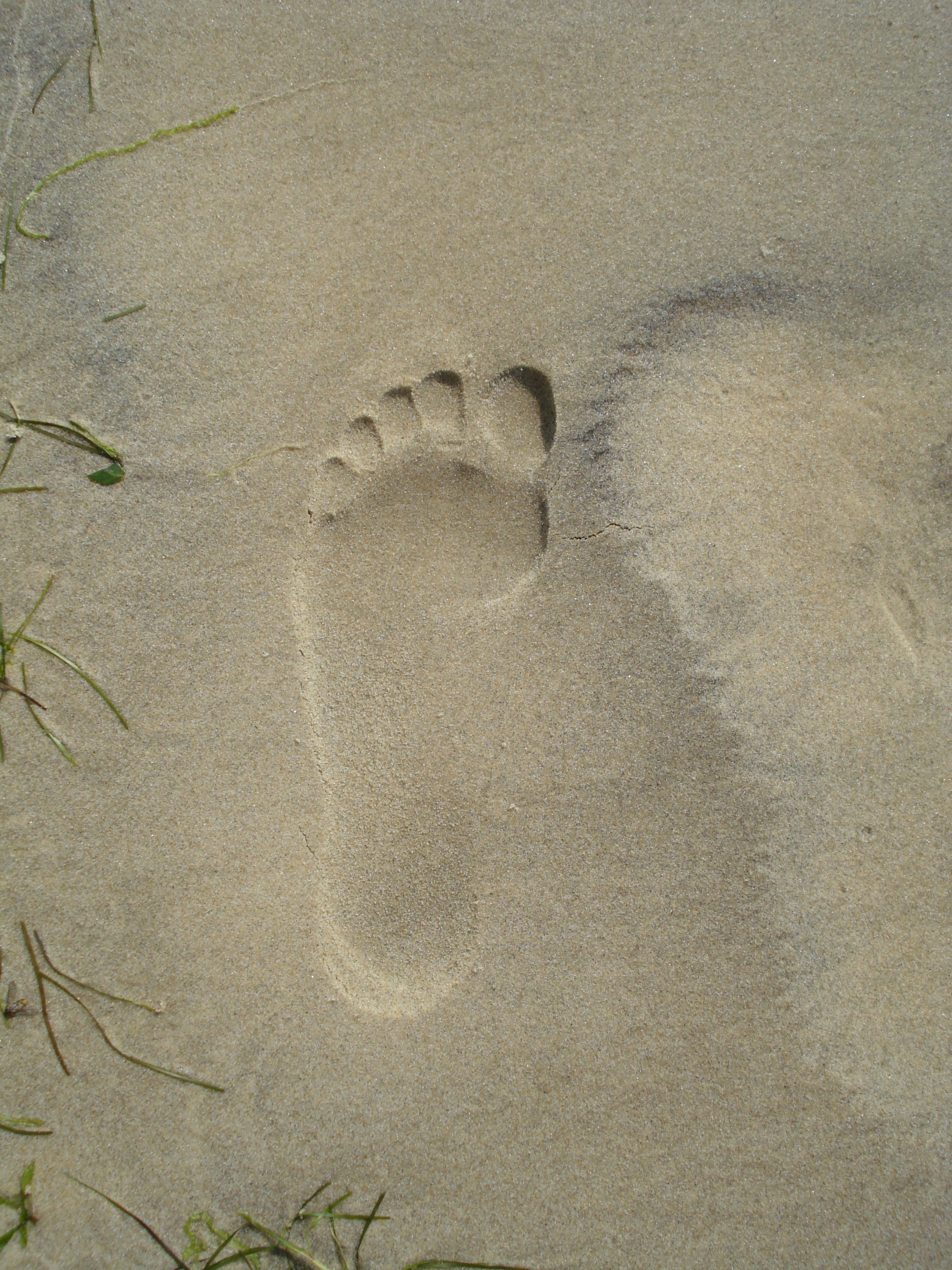 Исчезнувшие следы 3. Следы на песке. Следы на пляже. Пляж следы на песке. Следы лебедя на песке.