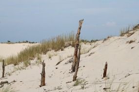 abandoned wild beach