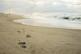 footprints in the sand near the surf