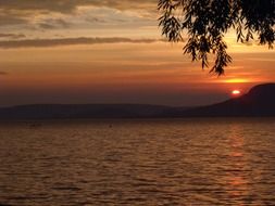 silent sunset in the wild nature