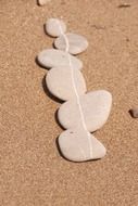 line of stones on the beach