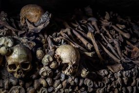 skeletons in underground ossuaries, museum, paris