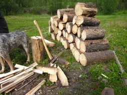 stacked firewood in the camp