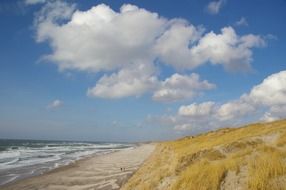 dunes on the beach in denmark