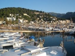 port with sailor boats on it