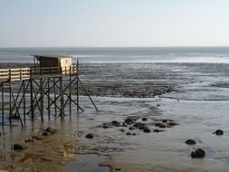 low tide on the ocean
