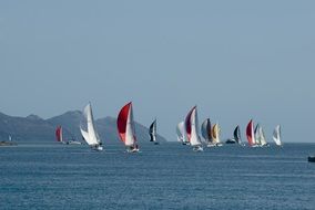 colorful sailing boats regatta at blue seascape