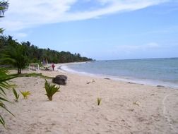Coast of the Caribbean Sea