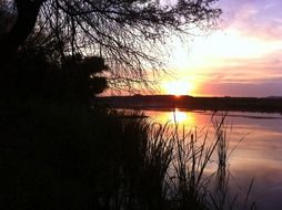 sunrise paradise