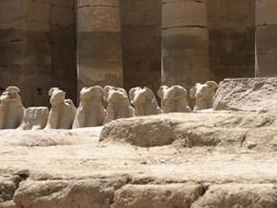 Holiday in Egypt