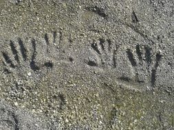 prints of child and adult person’s palms on beach