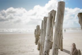 row of wooden poles on sand beach