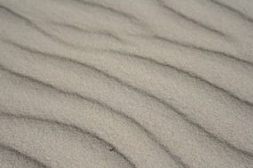Sand on the beach of North Sea