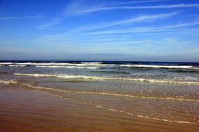 coast of Daytona beach