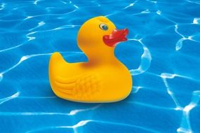 rubber duck toy