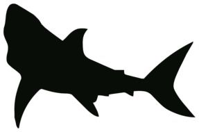 shark silhouette drawing