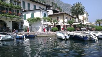 limone sul garda in Porto Vecchio