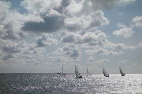 marine regattas on the water