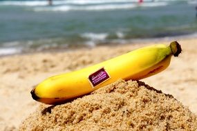 yellow banana on sand close up