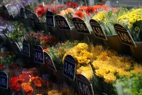 large selection of flowers in the flower shop