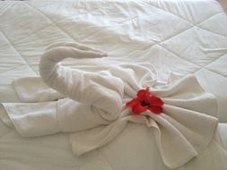 figure of towels in a hotel in Tunisia
