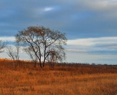 Sunset on the field in autumn