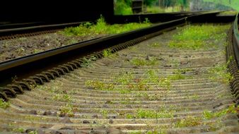 railway sleepers with green grass