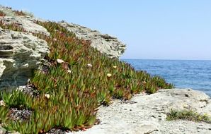 corsican holiday sea