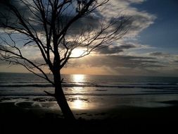 silhouette of a surfer on the beach at dusk