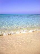 clear foamy wave on sand beach