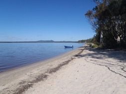 white beach by the ocean