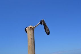 socks on the dead tree