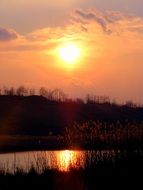 Lake through the reeds at sunset