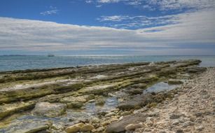 Lady Musgrave Island in Queensland