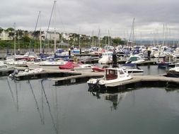 Yachts in a port
