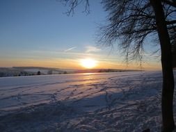 snowy field at sunset