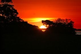 sunset over dark silhouettes in amazonia