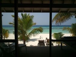 sun loungers and green palm trees on the sand in the Maldives