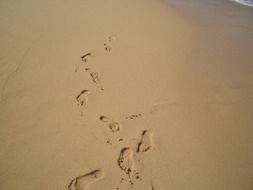 footprints of a man on brown sand