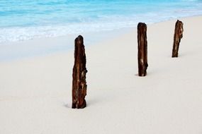 wooden poles in white sand