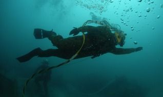 Divers are swimming