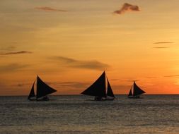 sailing boats in the sunset light